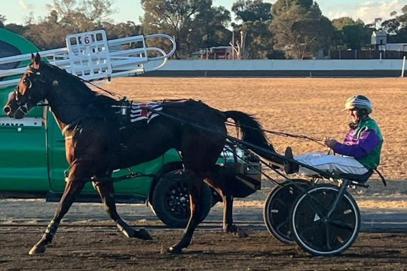 WINNER: Steve Maguire cleaned up in West Wyalong last weekend.
