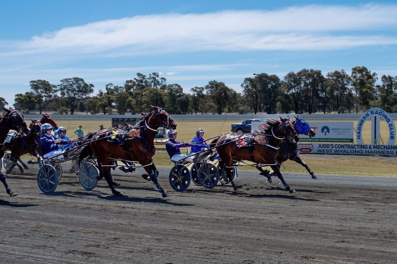 Harness Racing is back in West Wyalong Sunday May 11 and Sunday May 18