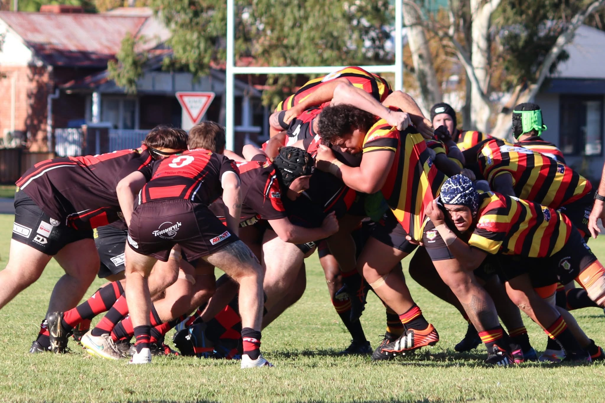 The Weevils fought for every inch but were inevitably out-muscled by the Tri Colours.