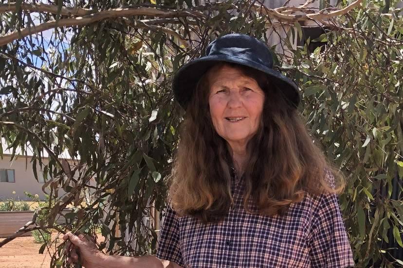 UP FOR THE FIGHT: Arcadia farmer Gaye Wheatley, can’t legally make a living from most of her land. Like the Oxenbridges, Cummings and other landholders, she is financially stuck between a rock and a hard place. Photo contributed.
