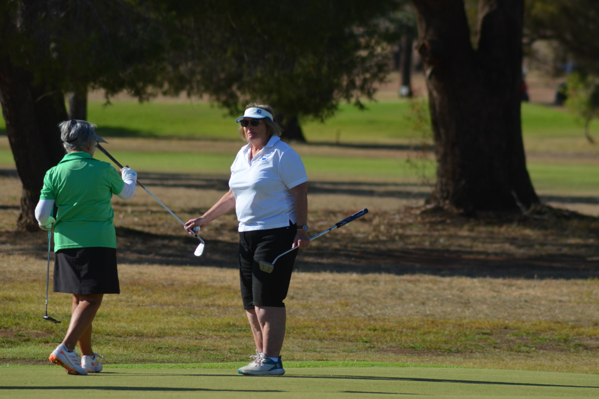 STRONG NUMBERS: The WDLGA again attracted record numbers to West Wyalong last week. Photo by Tony Glasgow.