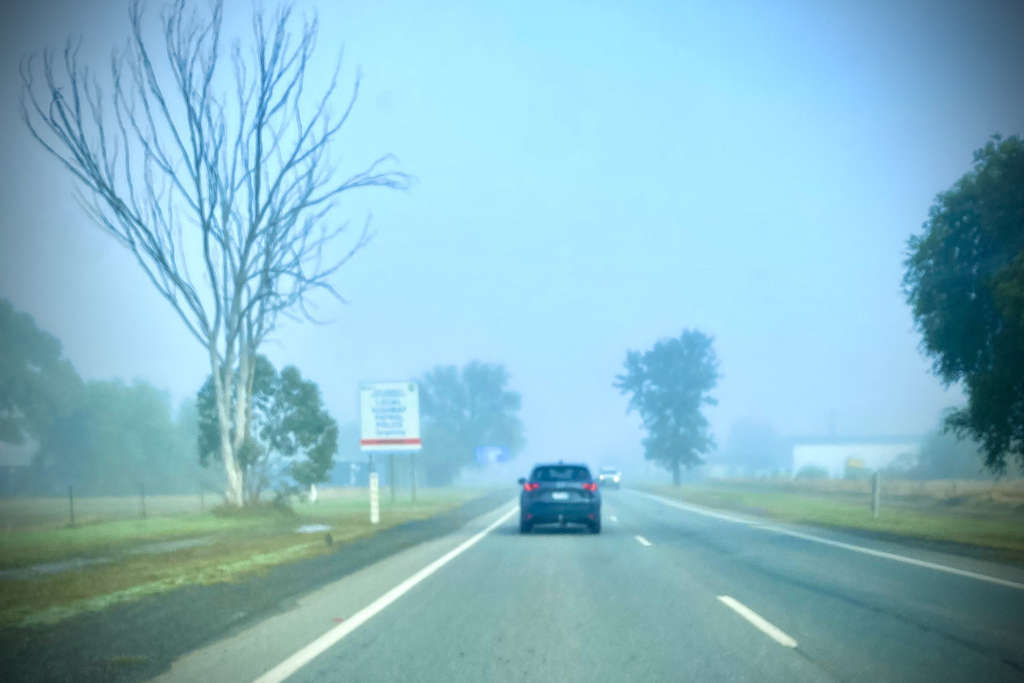 Winter is here and animals are about which means taking more care on the roads